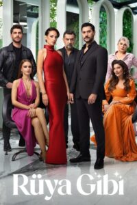 Rüya Gibi dizisi afişi